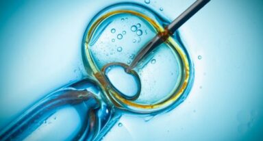 IVF Unit